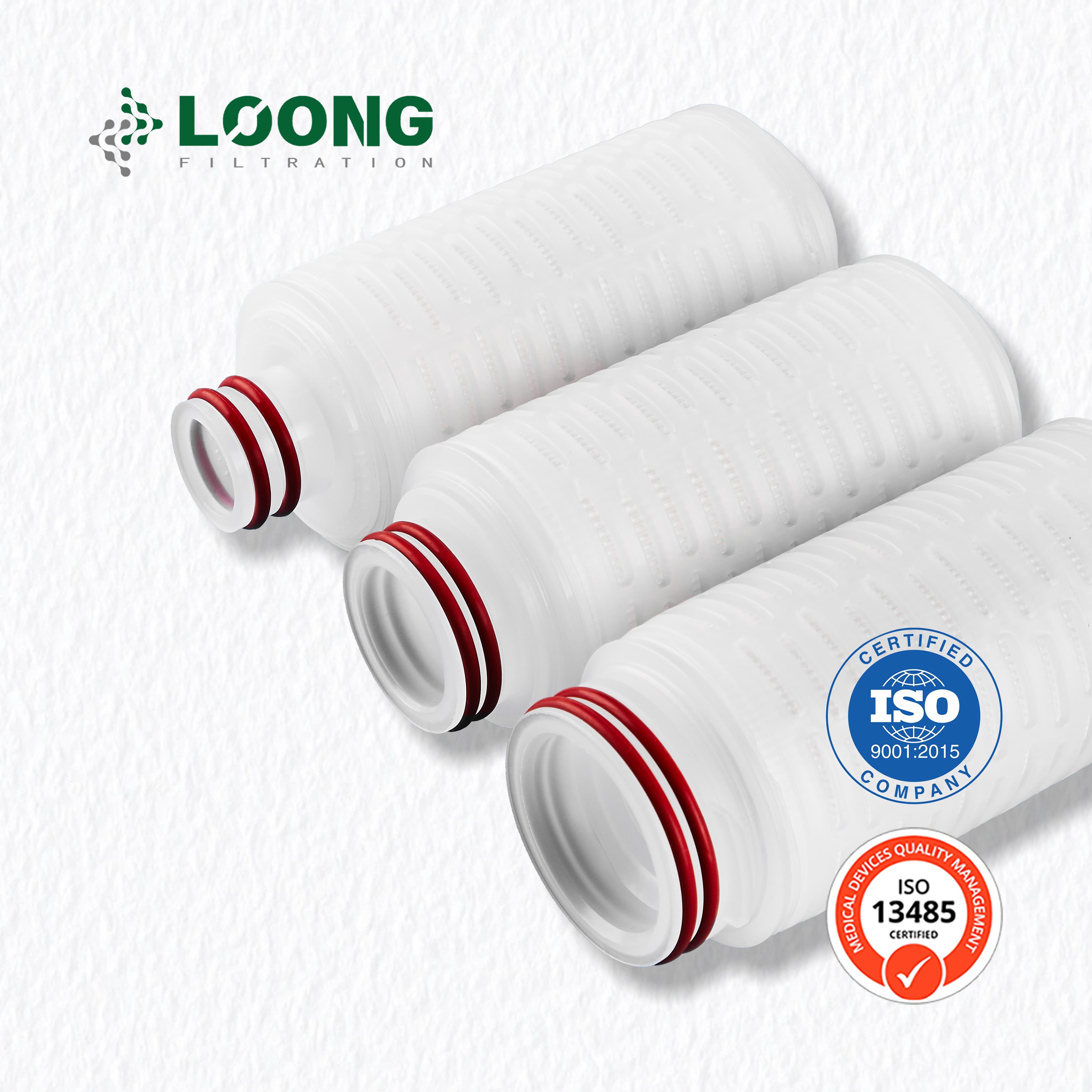 Ultra-high precision 0.01µm PTFE filter cartridge for absolute gas and liquid sterilization. 0.01µm Absolute PTFE Filter-Loong Filtration