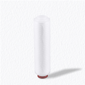 Cartucho de filtro hidrof&oacute;bico de PVDF 