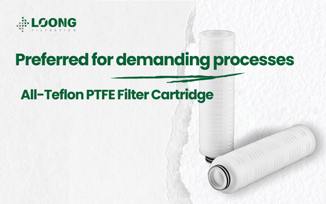 Cartucho de filtro de PTFE totalmente de tefl&oacute;n.png