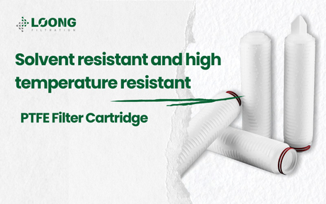Cartucho de filtro PTFE (4).jpg