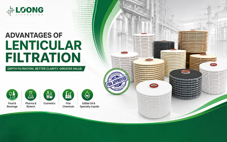 Преимущества лентикулярной фильтрации LOONGFiltration.jpg
