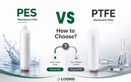 Filtros de membrana PES Vs PTFE C&oacute;mo elegir LOONGFiltration.jpg
